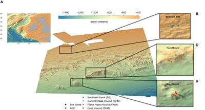 Benthic Oxygen and Nitrogen Exchange on a Cold-Water Coral Reef in the North-East Atlantic Ocean